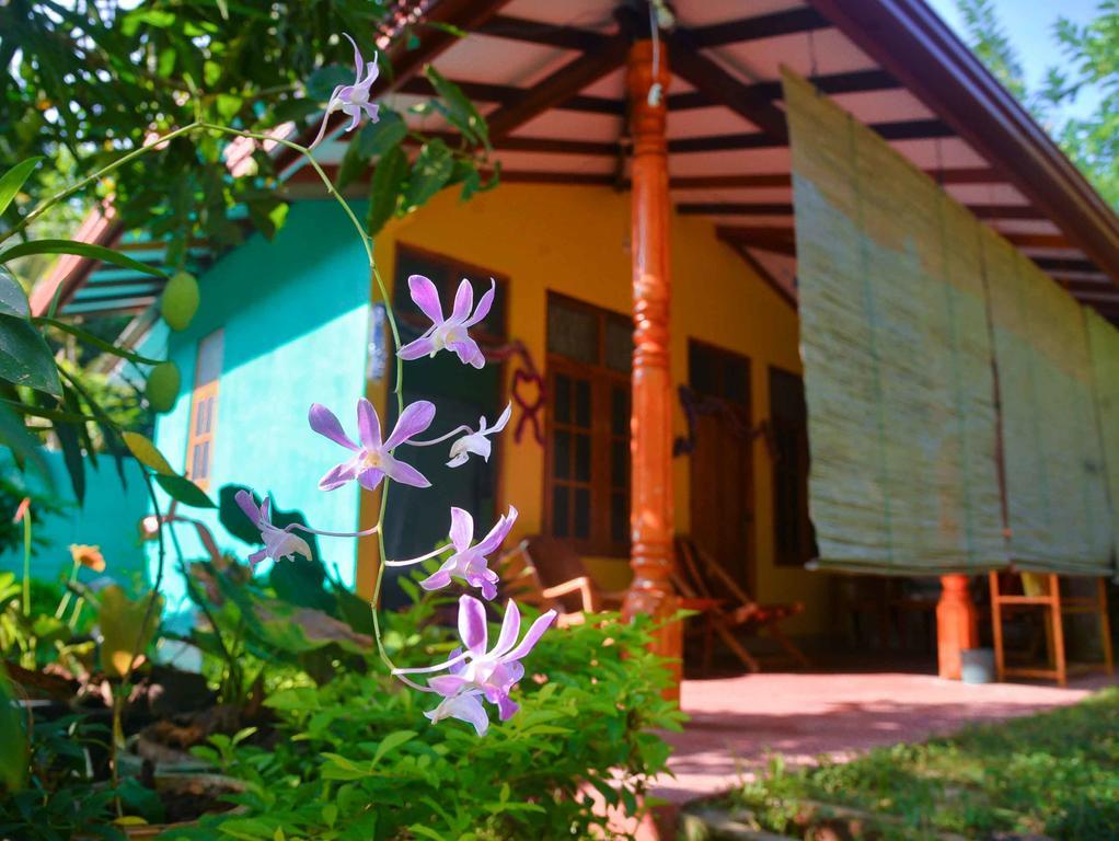 Nethmi Homestay & Restaurant Тангалле Екстер'єр фото